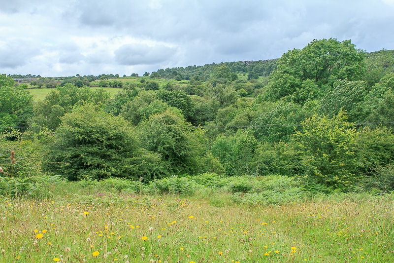 Birchen Edge Birchen Edge